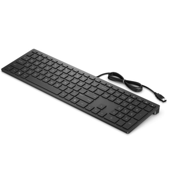HP PAV Wired Keyboard 300 ADRHP PAV Wired Keyboard 300HP PAV Wired Keyboard 300 tastatura