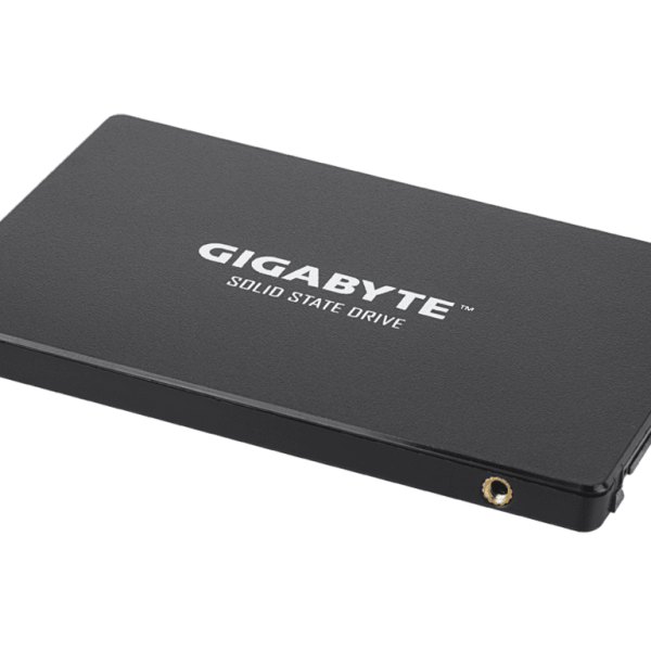 Gigabyte SSD 256GB,2.5"; R/W : 520/500MB/s GP-GSTFS31256GTND G12